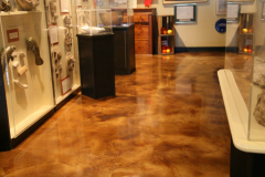concrete-staining-interior-floor-Seattle-WA