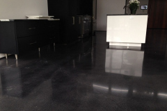 residential-concrete-floors-polish-Seattle-WA