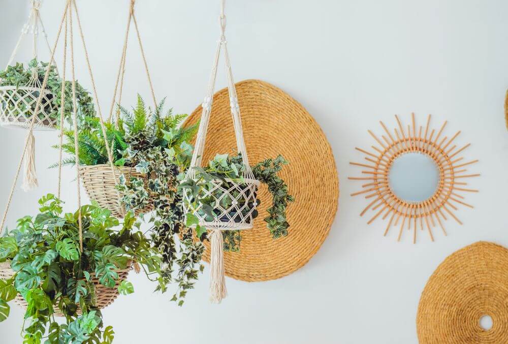 Hanging plants